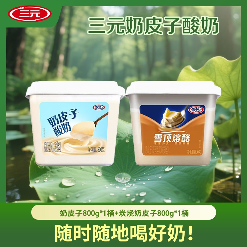 三元三元奶皮子酸奶凝固型低温学生是可乐晴子同款原味炭烧db