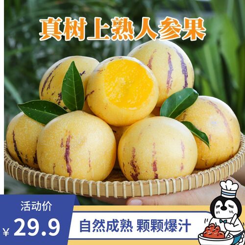 云南石林人参果真树上熟3斤4.5斤精品果