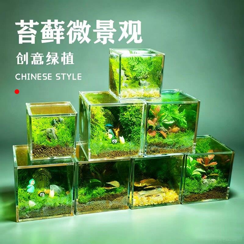桌面生态瓶苔藓微景观生态雨林缸造景办公闷养瓶成品室内小盆栽