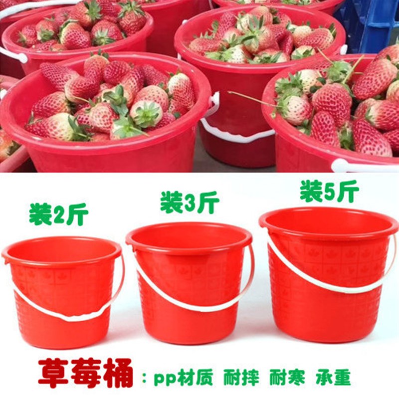 便宜草莓采摘桶红色带盖塑料桶沙滩桶一次性桶油漆桶