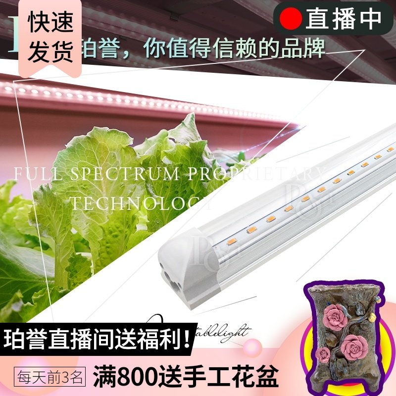 珀誉全光谱生长卉育苗组培多肉上色防徒补光灯
