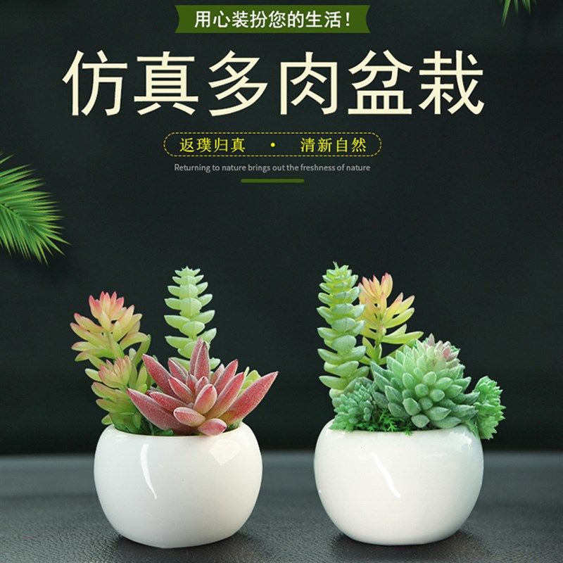 车载香薰仿真客厅多肉汽车装饰绿植小迷你假