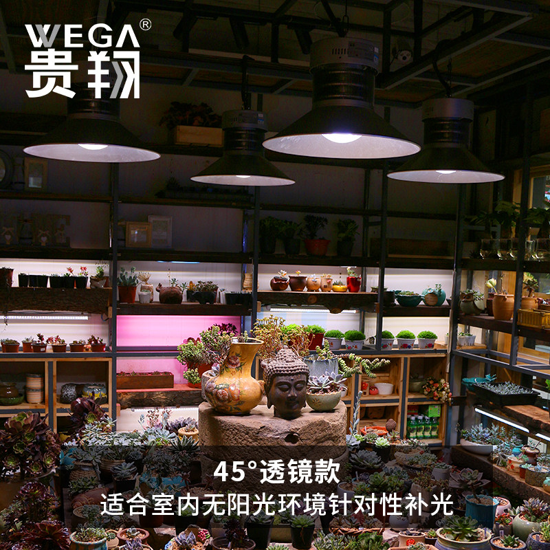 贵翔 植物补光灯全光谱温室大棚室内日照多肉兰花仿太阳光生长灯
