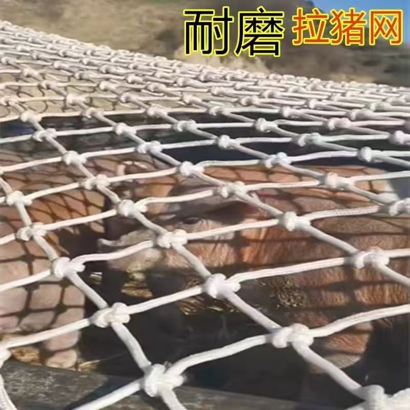 聚酯纤维网拉野猪拉猪拉羊网皮卡车轮车挡板护栏网罩货车防护安全