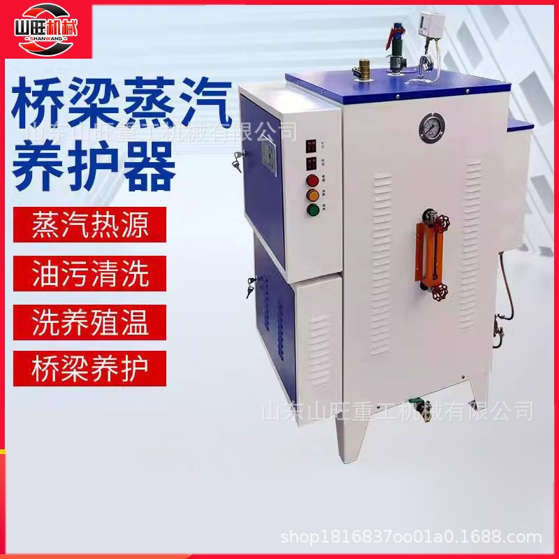 全自动电加热蒸汽发生器桥梁养护器燃油蒸气锅炉蒸汽养护