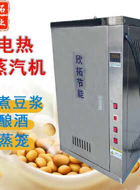 电热蒸汽发生器商用蒸汽煮豆桨做豆腐酿酒全自动能蒸汽电锅炉