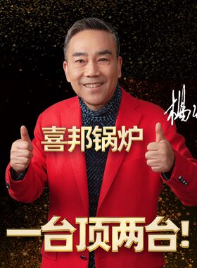 新型能懒汉地暖锅炉燃煤烧柴农村暖气小型数控取暖小采暖炉