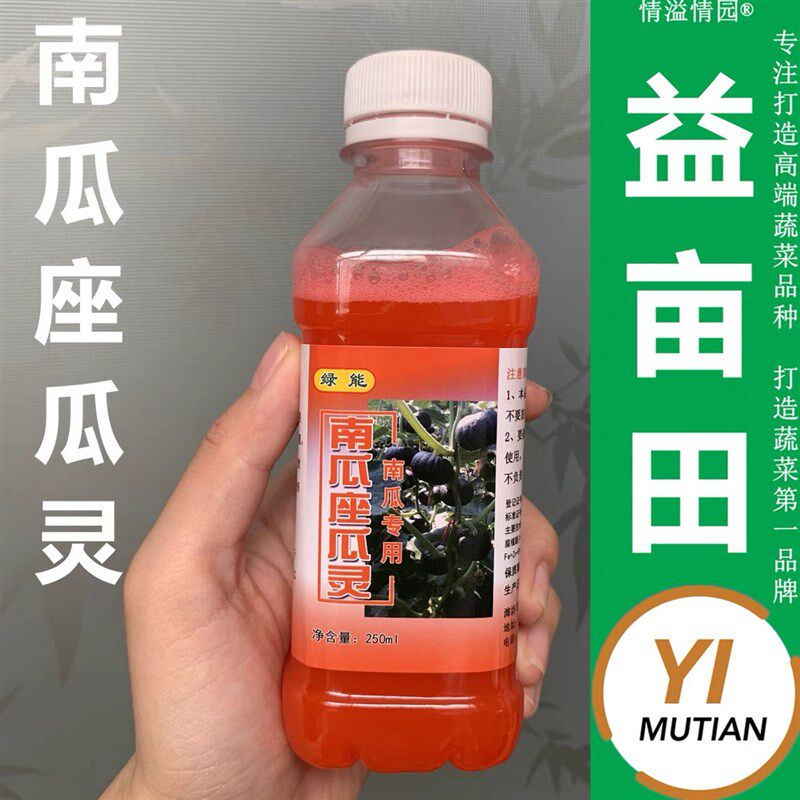 南瓜授粉药喷药坐果灵保保果贝贝南瓜授粉座果点
