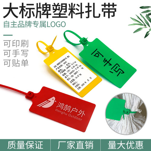 塑料封条物流标牌扎带集装箱封签库运输一体式防拆防调标识吊牌