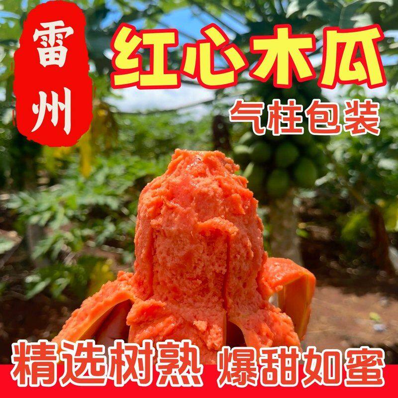 甜蜜小分队不甜包赔 树上熟雷州冰糖红心木瓜京东物流送货上门