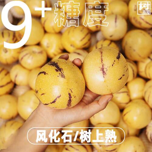 9个+糖度正宗云南石林人参果人生圆果黄肉产地直发应当季水果