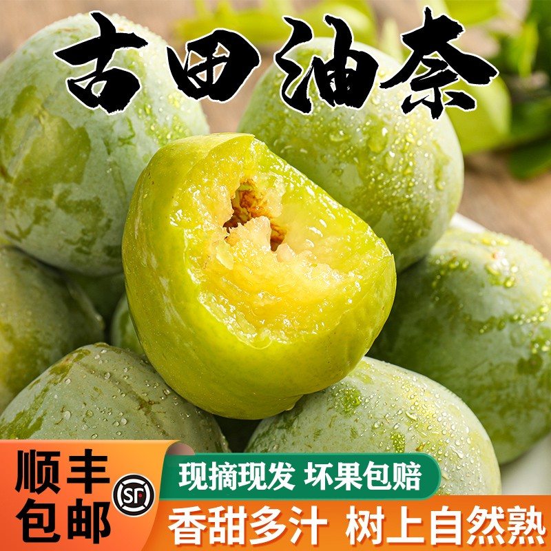 顺丰福建古田油奈李子奈李新鲜水果孕妇桃形李青脆空心青奈5斤