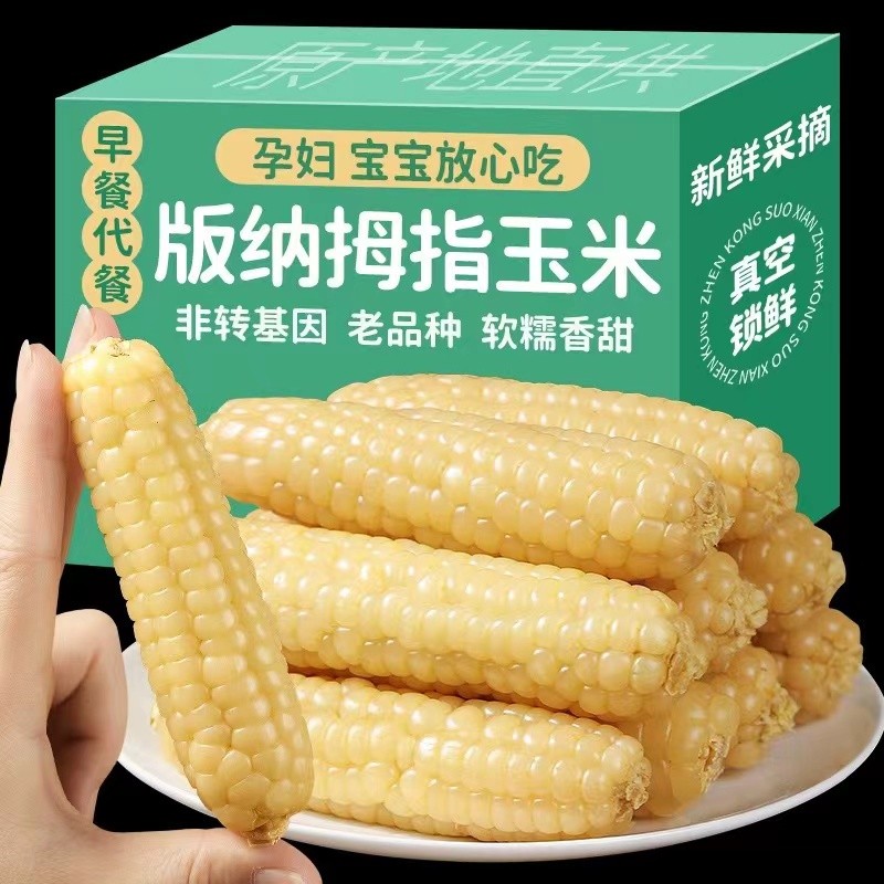 云南版纳拇指玉米香糯小玉米傣家甜黏手指玉米宝宝小玉米软糯香甜
