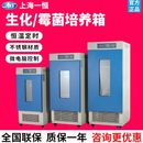 上海一恒LRH 150生化培养箱实验室恒温微生物MJ细胞霉菌培养箱