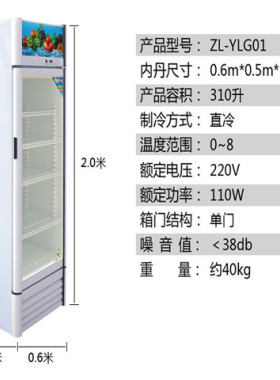 保鲜柜冷藏展示柜冰柜商用大容量双门饮料柜三门开冰箱立式冷柜