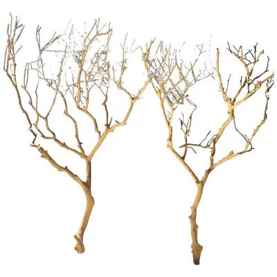 干树枝造景干枝树干许愿树枯树室内庭院造型树枝干原木树枝装饰树