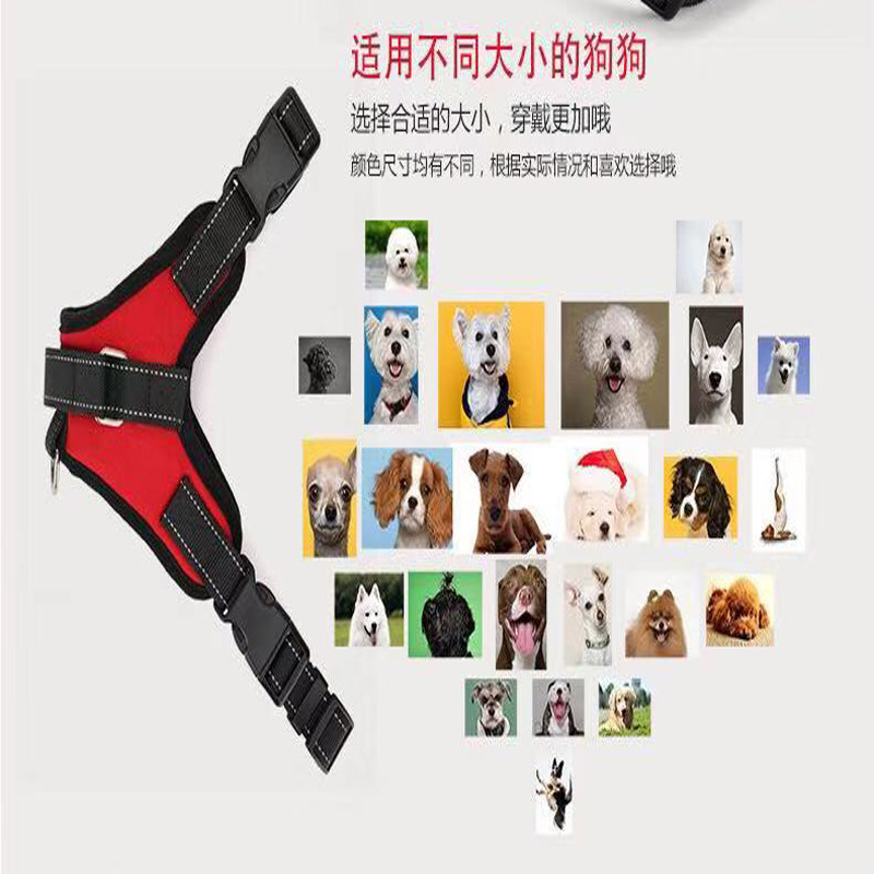 狗狗牵引绳狗牌定制背心式中小型犬柯基法斗泰迪胸背带刻字遛狗绳