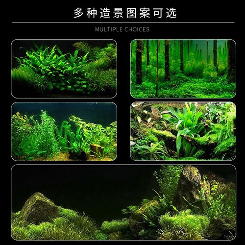 鱼缸背景贴纸画高清自粘壁纸水草造景装饰底板3D立体玻璃防水定制