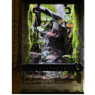 成品雨林缸定制水泥塑形爬宠造景热带雨林景观全国发货