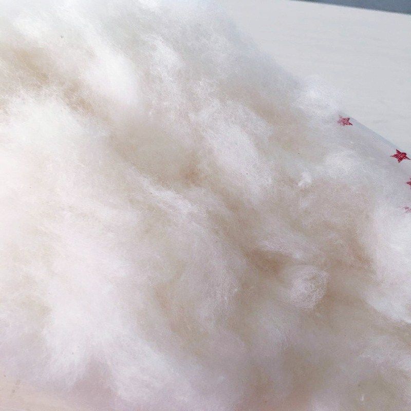 棉花枕头枕芯低枕单人双人学生宿舍枕头整头成人家用一对拍2薄枕,床上用品,枕头/枕芯,淘宝优惠券,粉丝福利购,淘宝优惠卷