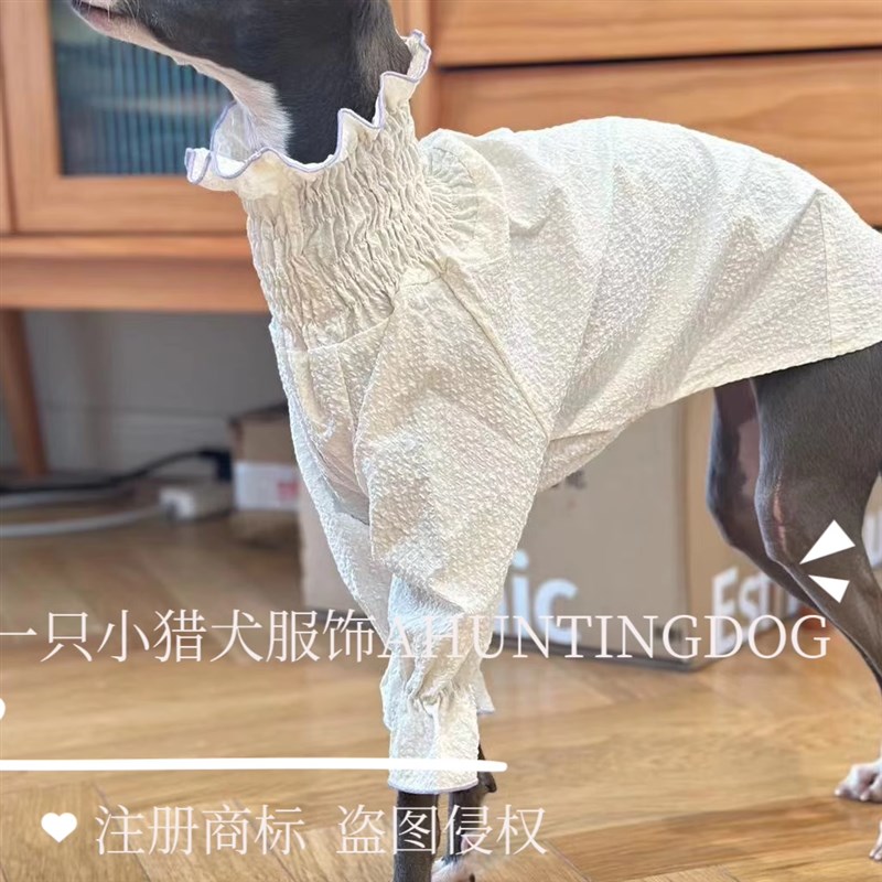 意大利小灵缇夏款公主泡泡裙防晒面料惠比特衣服