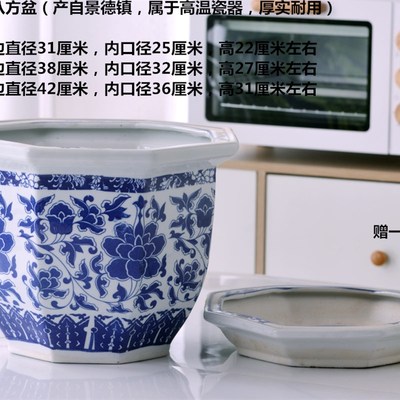 超大号青花瓷蝴蝶兰花盆多肉树盆带托盘大花缸室外大花盆大口径