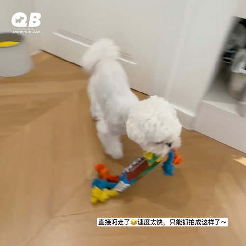 宠物狗狗糖果绳结棉绳玩具发声耐咬中小型犬幼犬洁齿磨牙交互玩具