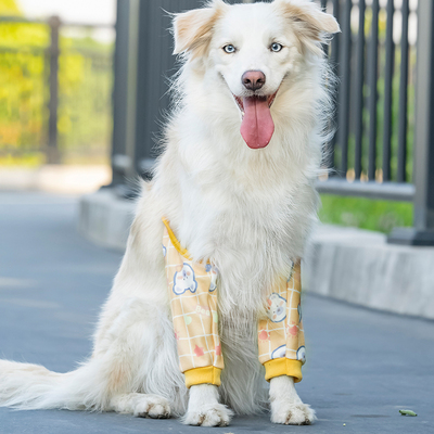 大狗狗护肘护膝防止磨破关节保护套腿套宠物口水袖套防脏秋冬保暖