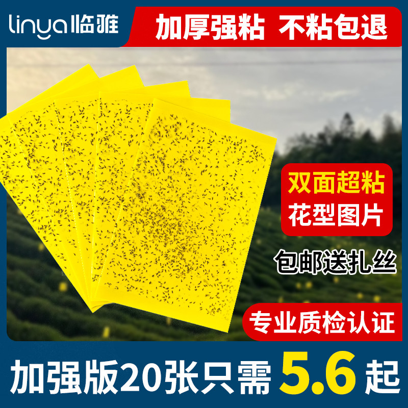 黄板双面粘虫板家用果园诱虫大棚蓟马粘蚊贴纸茶山专用果蝇诱捕器