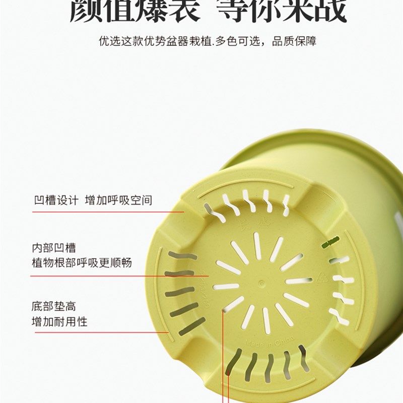 加厚四季加仑花盆控根透气塑料彩色北欧Deepot月季绿萝绣球月季盆,鲜花速递/花卉仿真/绿植园艺,花盆,淘宝优惠券,粉丝福利购,淘宝优惠卷