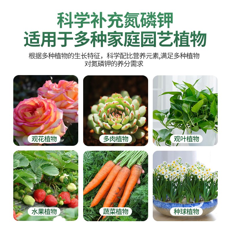 营养液植物通用型花肥家用盆栽发财树绿萝富贵竹多肉水培绿植肥料