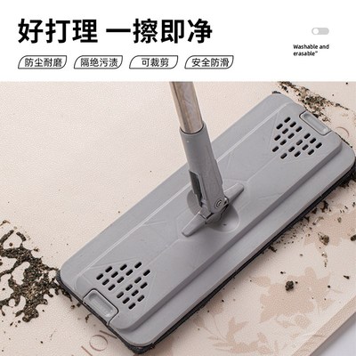 入户门地垫进门口2024新款门外玄关高级感免洗奶油风可擦洗脚垫子