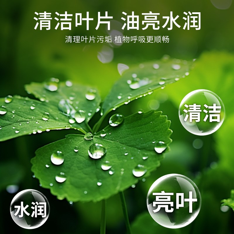 贝可施叶倍亮营养液叶面专用肥黄叶掉叶肥料室内盆栽植物养花绿植