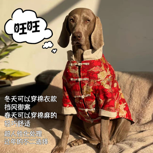 大狗狗过年喜庆衣服春秋薄款狗狗衣服大型犬新年拉布拉多金毛衣服