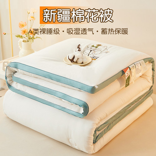 A类棉花被子冬被加厚保暖棉被学生单双人棉絮春秋被纯棉被褥被芯