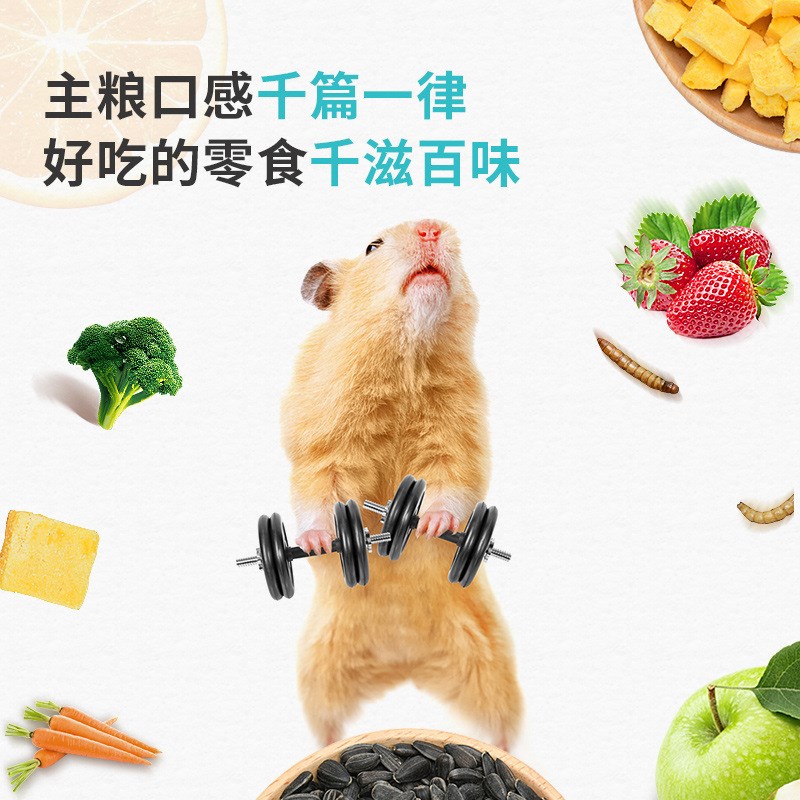 仓鼠冻干零食磨牙瓜子鱼干草莓干豆腐粒奶酪营养小零食金丝熊食物