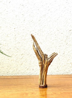 千年大漠胡杨风化原木随形根艺摆件自然禅意艺术创意家居收藏饰品