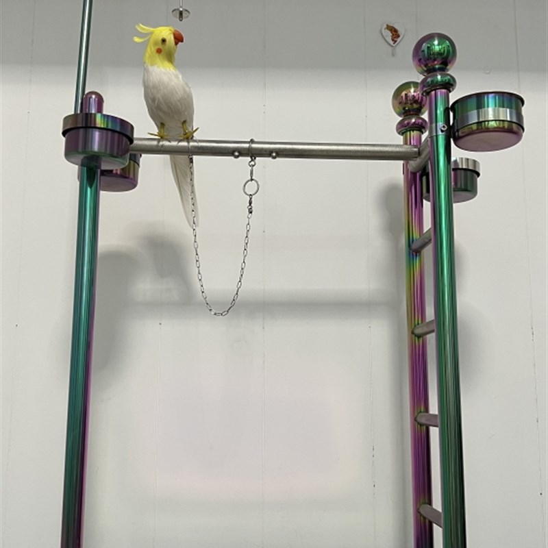 不锈钢鹦鹉站架楼梯形中大型鹦鹉适用家用庭院鸟禽架架厚栖息架中