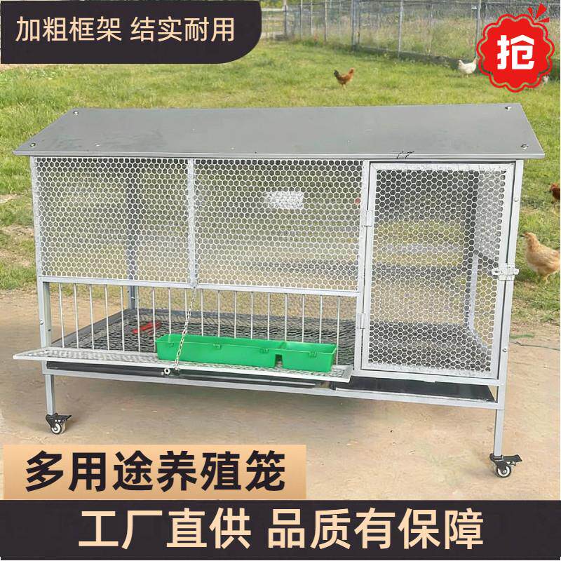 鸡笼围网笼子尖顶室外特大下蛋加厚方管鸡舍养户外养殖吃食防雨啄