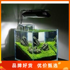 金晶超白鱼缸迷你水族箱生态缸20/25cm30-50厘米小方缸热弯缸