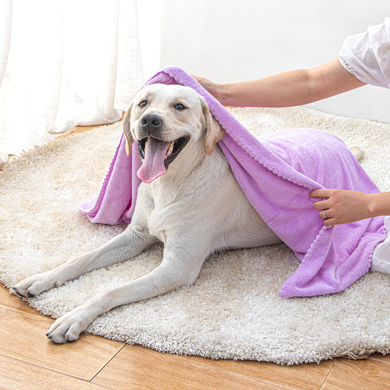 宠物毯子狗狗毛毯夏天浴巾小被子猫咪睡地毯猫窝保暖猫睡觉盖毯