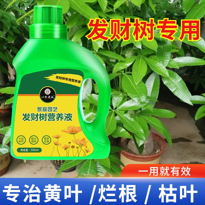 发财树专用营养液肥料家用盆栽植物治黄叶烂根壮苗液体肥植物通用