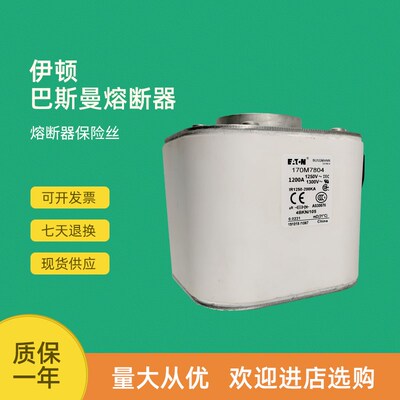 全新快速熔断器保险170M7963 170M7969 170M7975 170M7978