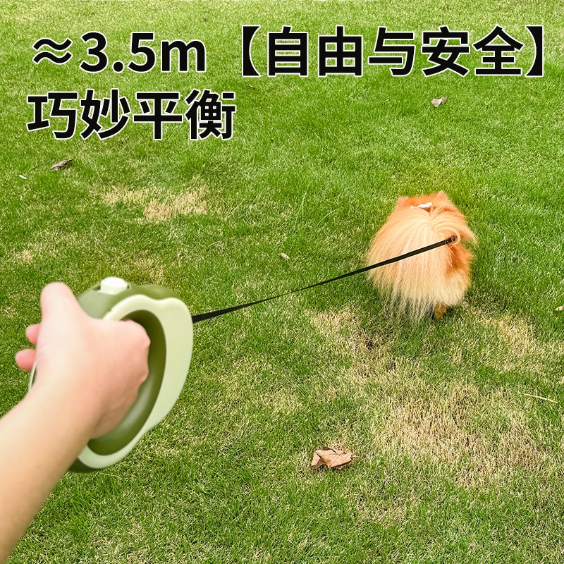 狗狗牵引绳自动伸缩狗绳子遛狗小型犬夜光牵狗绳狗链宠物用品胸背