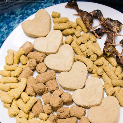 喵记的杂货铺 帕特诺尔鸵鸟饼冻干生骨肉饼增肥发腮补钙脱水鲜肉