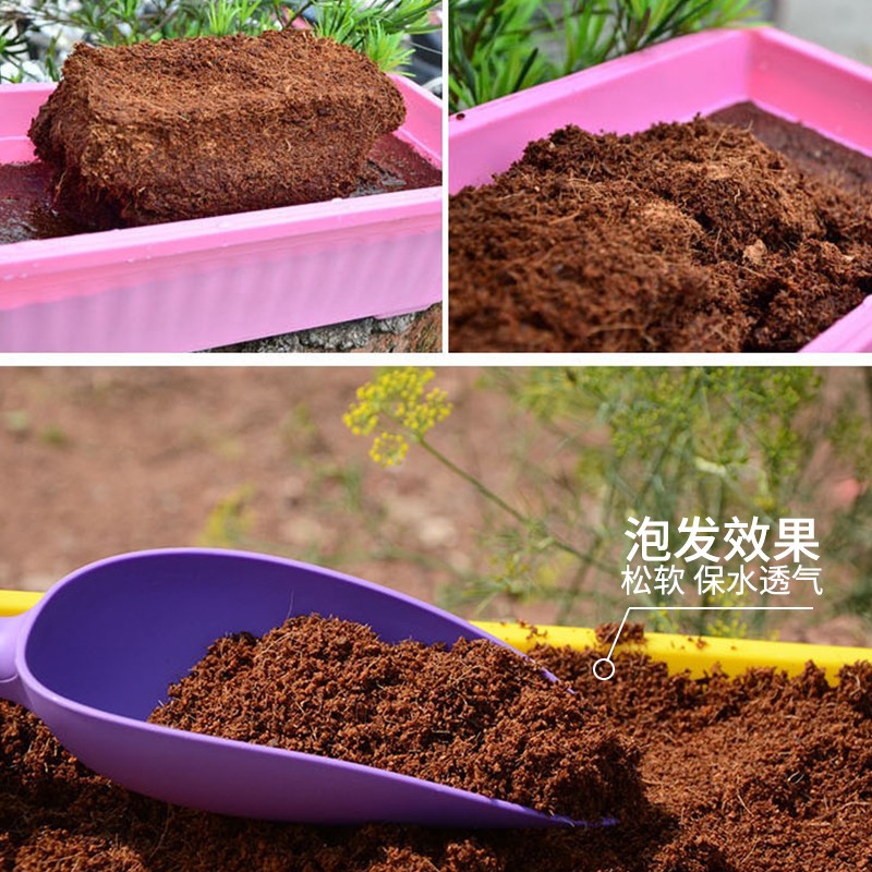 椰砖营养土种菜脱盐椰糠大块耶砖土养花土壤种植土多肉土通用型