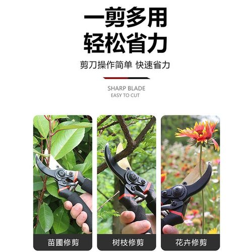 新款园艺剪刀剪树枝专用剪刀修枝剪园林果树修花家用盆景粗枝剪子