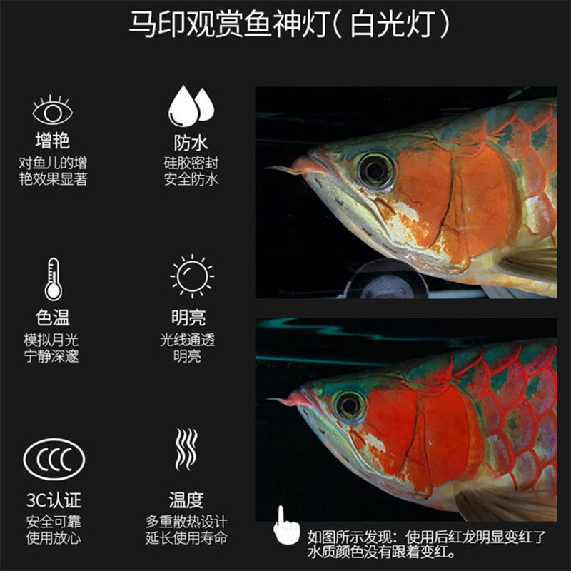 马印神灯龙鱼血鹦鹉鱼元宝鱼专用灯三基色增艳防水鱼缸灯水族用品