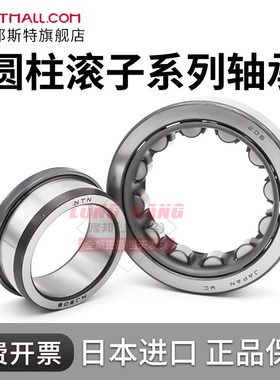 日本NTN轴承NF303 304 305 306 307 308 309 310 311 312EM EW ET