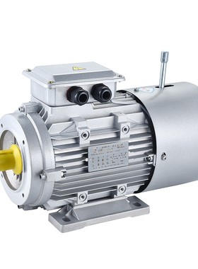 YEJ电磁制动三相异步电动机380V0.37/0.55/0.75/1.1WKW4级刹车电